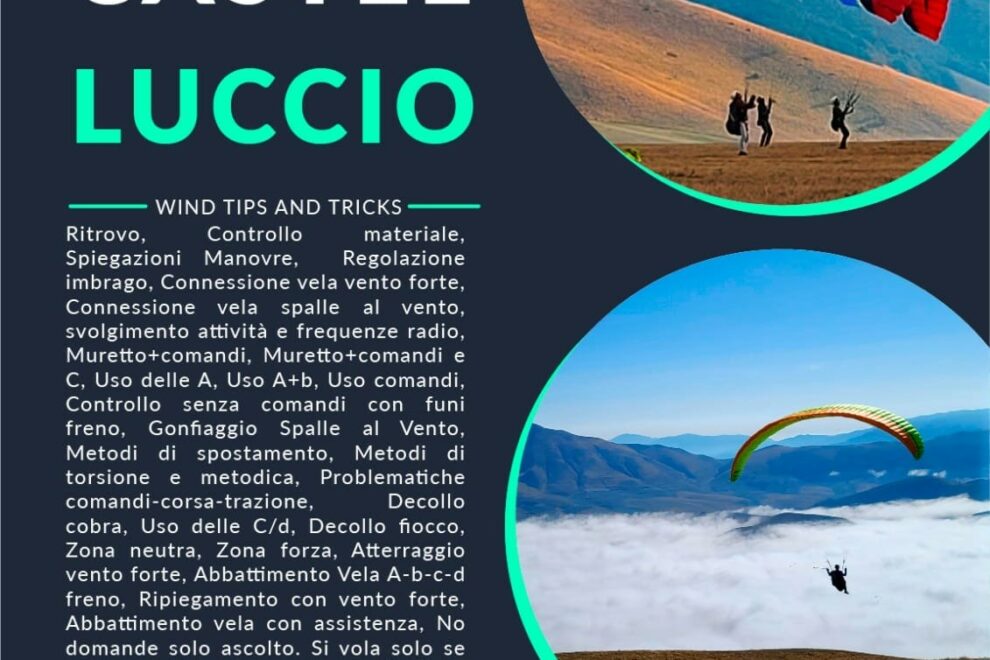 Immagine WhatsApp 2024-09-13 ore 11.01.10_19e95228